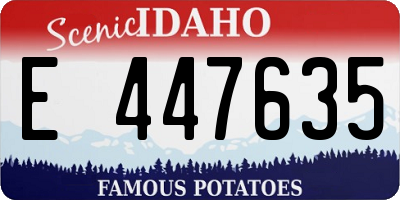 ID license plate E447635