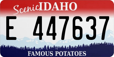 ID license plate E447637