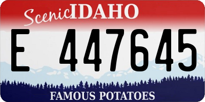 ID license plate E447645