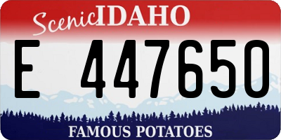 ID license plate E447650