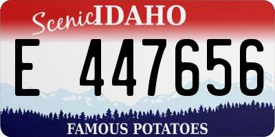ID license plate E447656