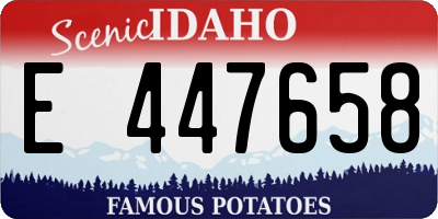 ID license plate E447658