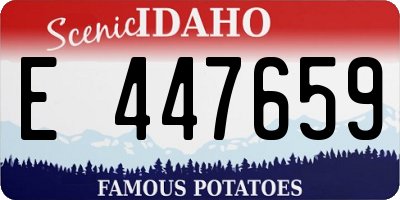 ID license plate E447659