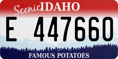 ID license plate E447660