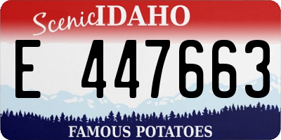 ID license plate E447663