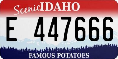 ID license plate E447666
