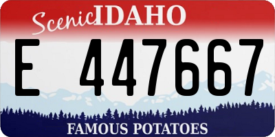 ID license plate E447667