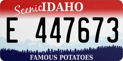 ID license plate E447673
