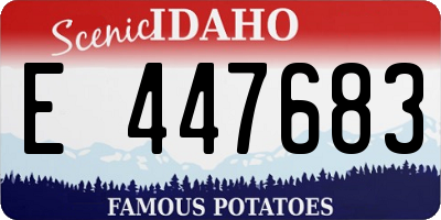 ID license plate E447683