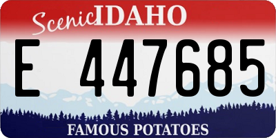 ID license plate E447685