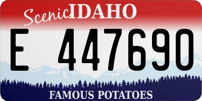 ID license plate E447690