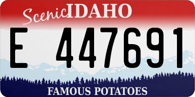 ID license plate E447691