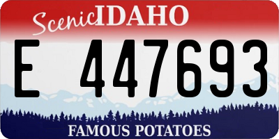 ID license plate E447693