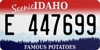 ID license plate E447699