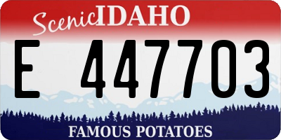 ID license plate E447703