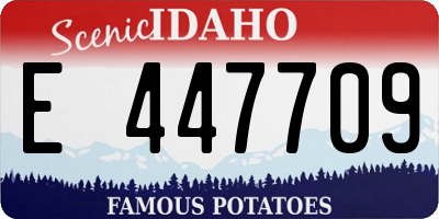 ID license plate E447709