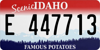 ID license plate E447713