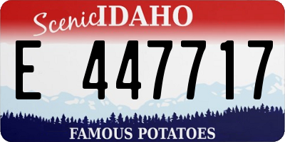 ID license plate E447717