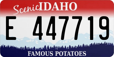 ID license plate E447719