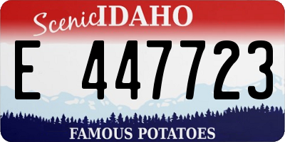 ID license plate E447723