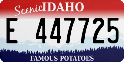 ID license plate E447725