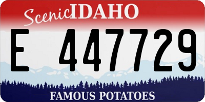 ID license plate E447729