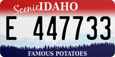 ID license plate E447733