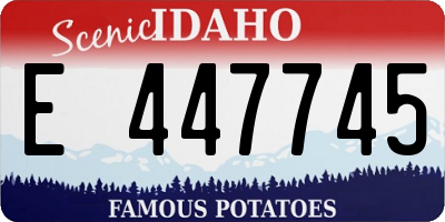 ID license plate E447745