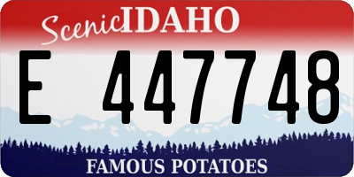 ID license plate E447748