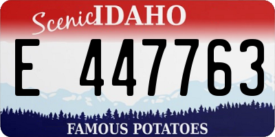 ID license plate E447763