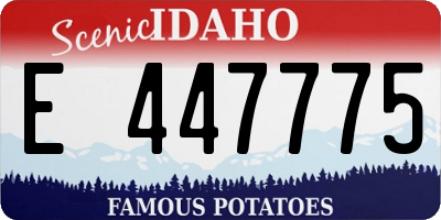 ID license plate E447775