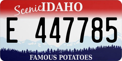 ID license plate E447785