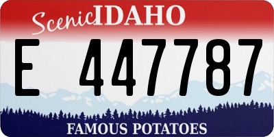 ID license plate E447787