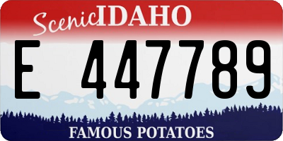 ID license plate E447789