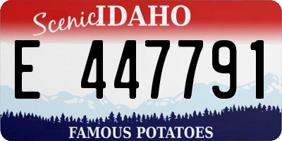 ID license plate E447791