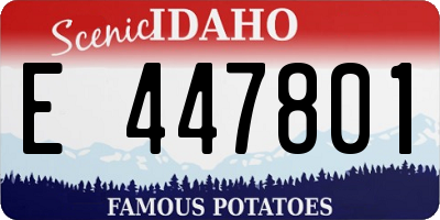 ID license plate E447801