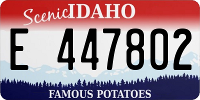 ID license plate E447802