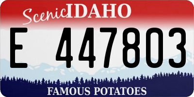 ID license plate E447803