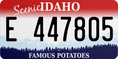 ID license plate E447805