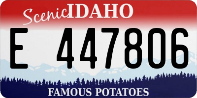 ID license plate E447806
