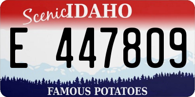 ID license plate E447809