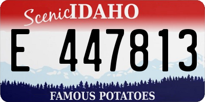ID license plate E447813