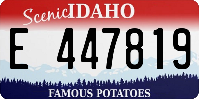 ID license plate E447819