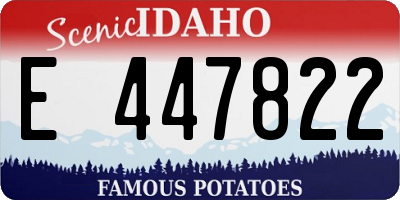 ID license plate E447822