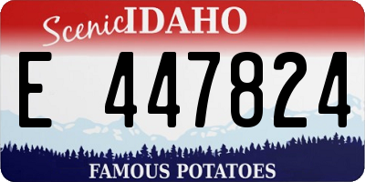 ID license plate E447824