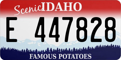 ID license plate E447828