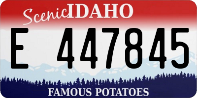 ID license plate E447845