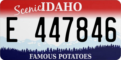 ID license plate E447846