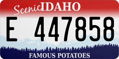ID license plate E447858