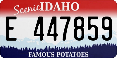 ID license plate E447859